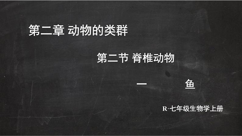2.2.2 脊椎动物 一 鱼 课件-2024-2025学年人教版生物七年级上册02