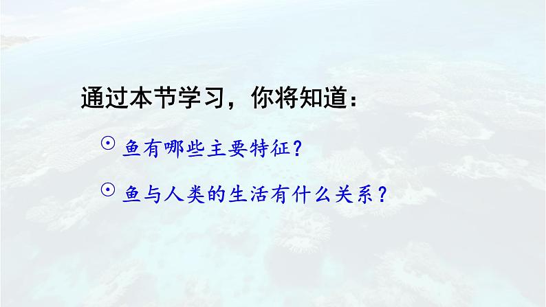 2.2.2 脊椎动物 一 鱼 课件-2024-2025学年人教版生物七年级上册06