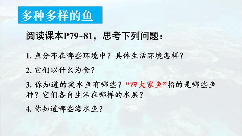 2.2.2 脊椎动物 一 鱼 课件-2024-2025学年人教版生物七年级上册07