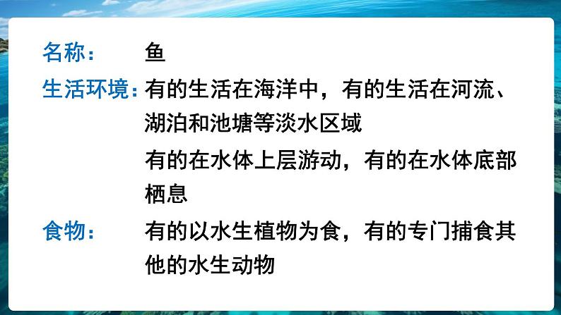 2.2.2 脊椎动物 一 鱼 课件-2024-2025学年人教版生物七年级上册08