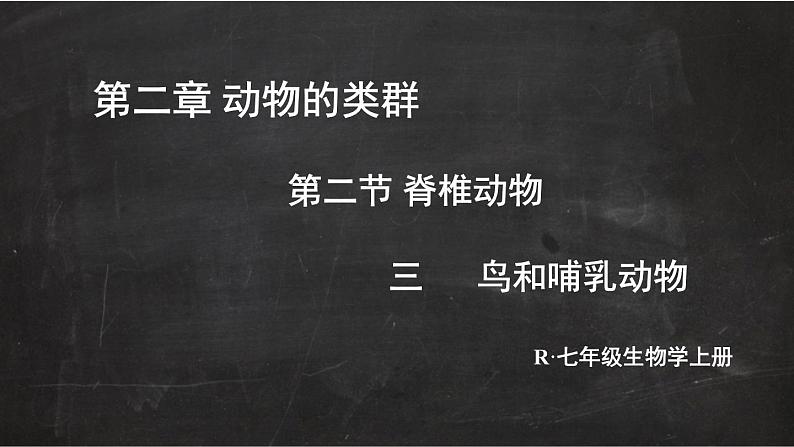 2.2.2 脊椎动物 三 鸟和哺乳动物 课件-2024-2025学年人教版生物七年级上册02