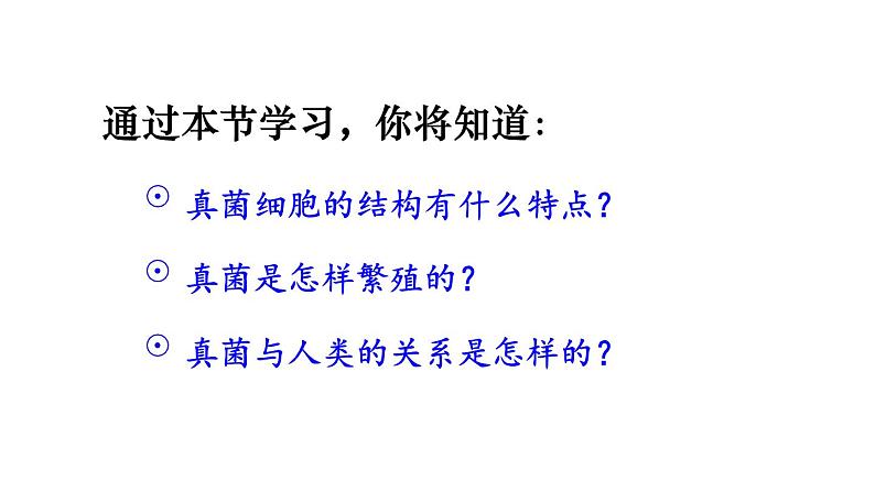 2.3.3 真菌 课件-2024-2025学年人教版生物七年级上册03