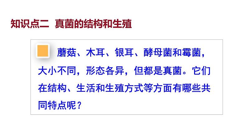 2.3.3 真菌 课件-2024-2025学年人教版生物七年级上册06