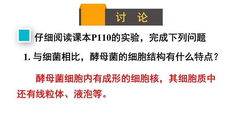 2.3.3 真菌 课件-2024-2025学年人教版生物七年级上册08
