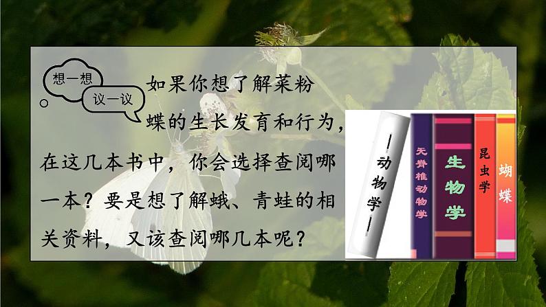 2.4.1 尝试对生物进行分类 课件-2024-2025学年人教版生物七年级上册04