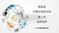 人教版（2024）七年级上册第二节 从种到界背景图ppt课件