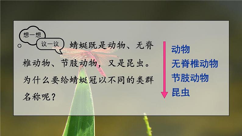 第二节 从种到界第2页