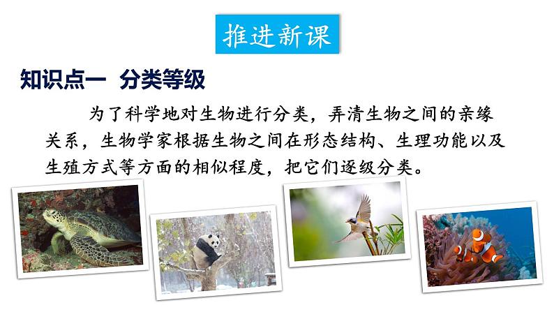 第二节 从种到界第4页