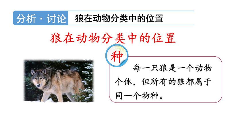 第二节 从种到界第8页