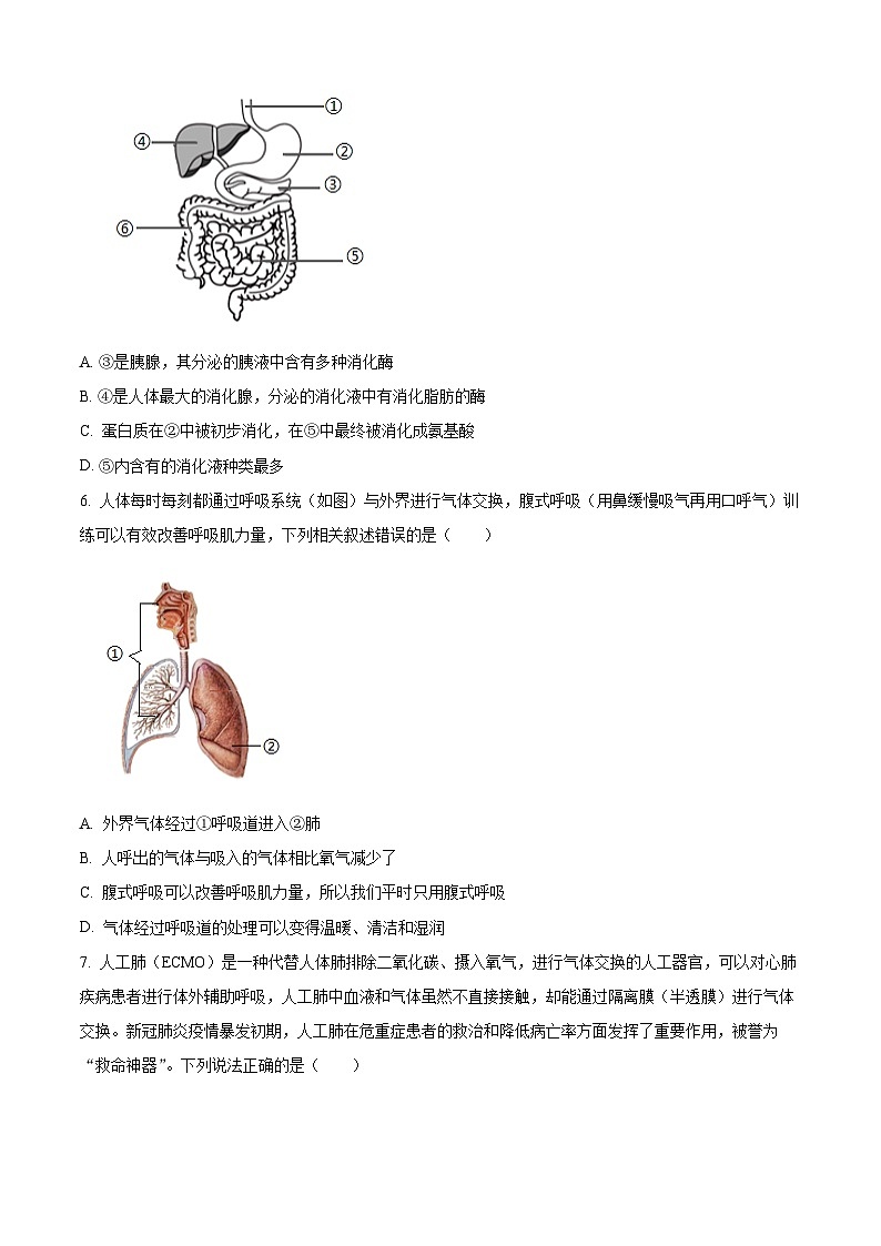 河南省南阳市邓州市2023-2024学年七年级下学期期末生物试题(原卷版+解析版)02