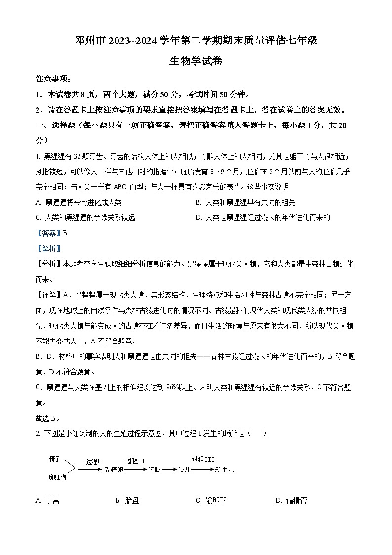 河南省南阳市邓州市2023-2024学年七年级下学期期末生物试题(原卷版+解析版)01