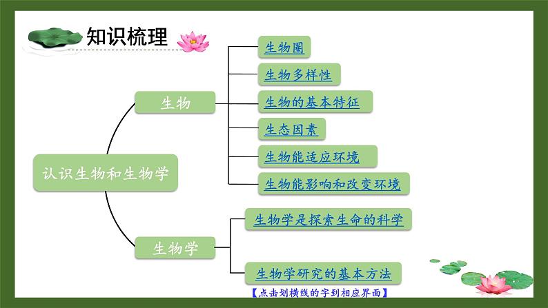 第1章 认识生物和生物学 单元复习 课件--2024-2025学年北师大版生物七年级上册第2页