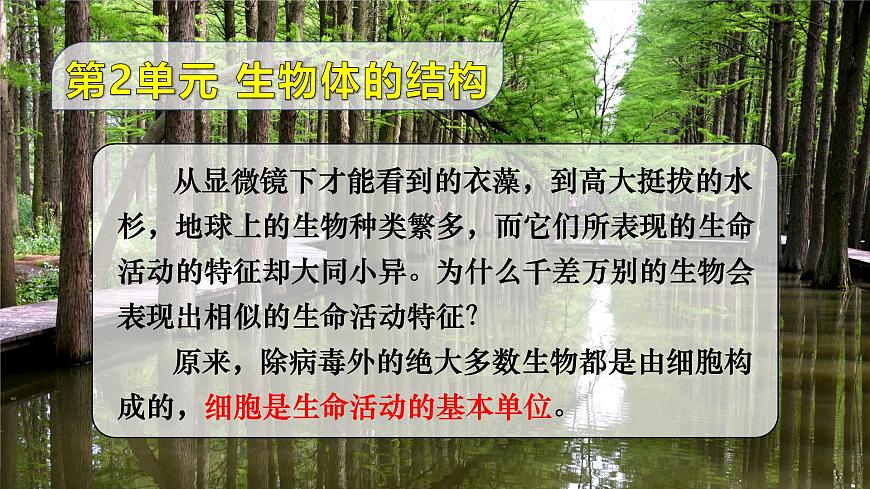 第1課時 顯微鏡的使用第1頁
