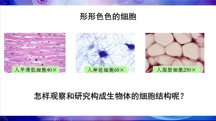 第1課時 顯微鏡的使用第7頁