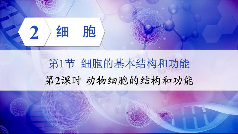 2.2.1 细胞的基本结构和功能 第2课时 动物细胞的结构和功能 课件--2024-2025学年北师大版生物七年级上册01