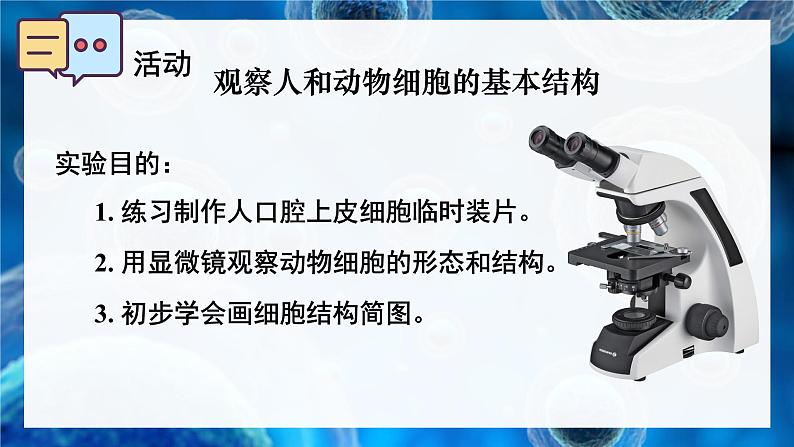 2.2.1 细胞的基本结构和功能 第2课时 动物细胞的结构和功能 课件--2024-2025学年北师大版生物七年级上册04