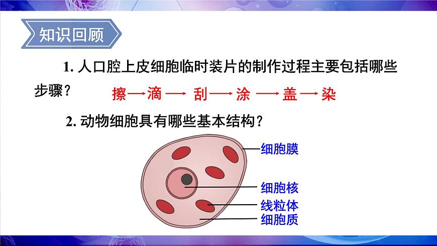 第3課時 植物細胞的結構和功能第2頁