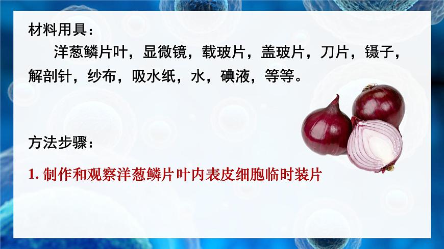 第3課時 植物細胞的結構和功能第5頁