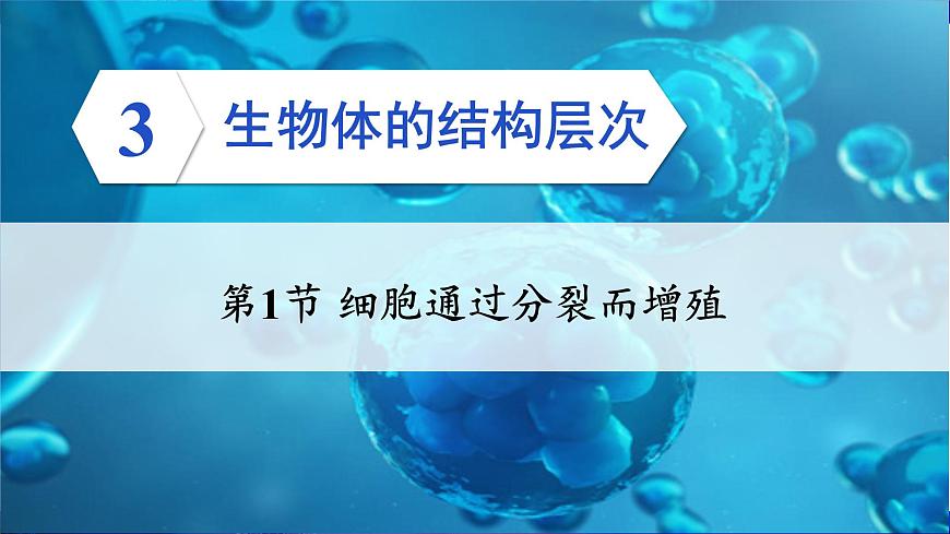 第1節(jié) 細胞通過分裂而增殖第3頁