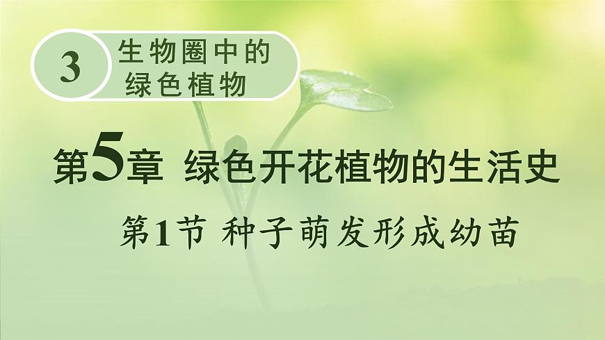 第1節(jié) 種子萌發(fā)形成幼苗第1頁