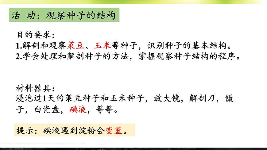第1節(jié) 種子萌發(fā)形成幼苗第6頁