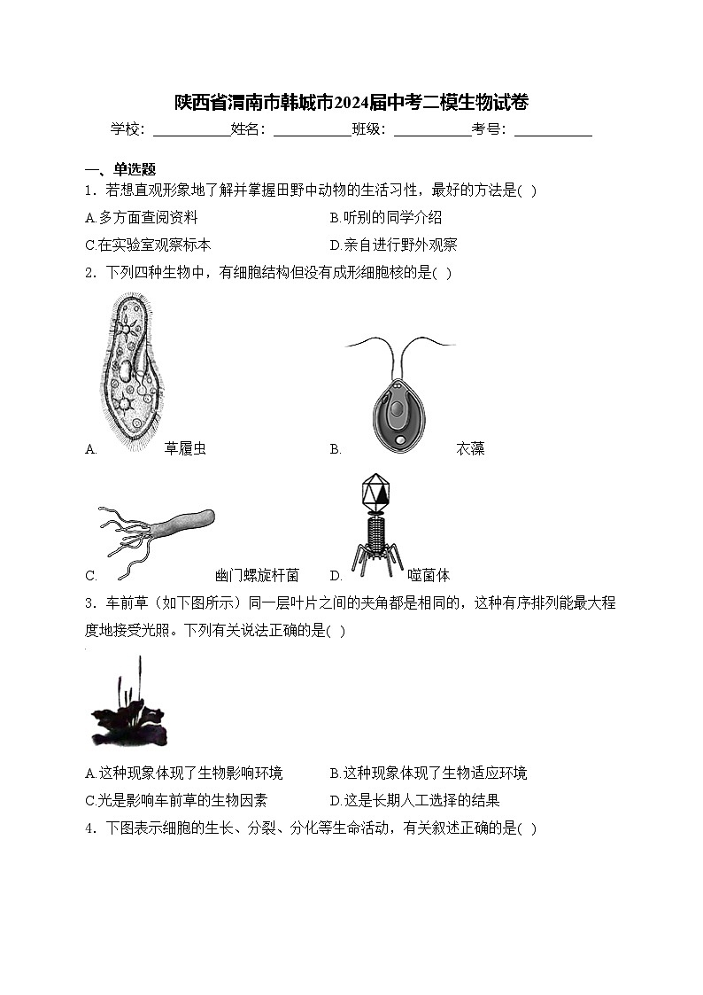 陕西省渭南市韩城市2024届中考二模生物试卷(含答案)第1页