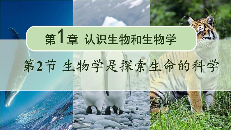 【核心素养】北师大版(2024)生物七年级上册 1.2生物学是探索生命的科学 教学课件01