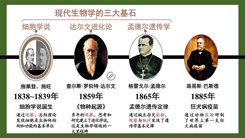 【核心素养】北师大版(2024)生物七年级上册 1.2生物学是探索生命的科学 教学课件08