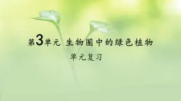 北师大版（2024）七年级生物上册课件 第3单元 单元复习