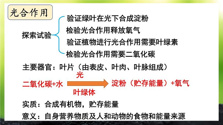 北師大版（2024）七年級生物上冊課件 第3單元 單元復(fù)習(xí)第4頁