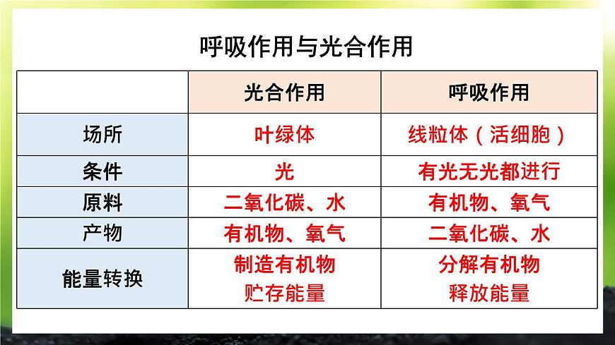 北師大版（2024）七年級生物上冊課件 第3單元 單元復(fù)習(xí)第6頁