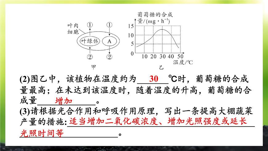 北師大版（2024）七年級生物上冊課件 第3單元 單元復(fù)習(xí)第8頁