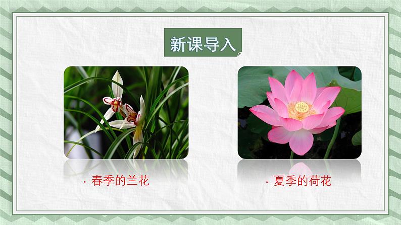 第一节花的结构课件教案04