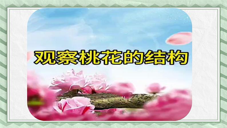 第一节花的结构课件教案07
