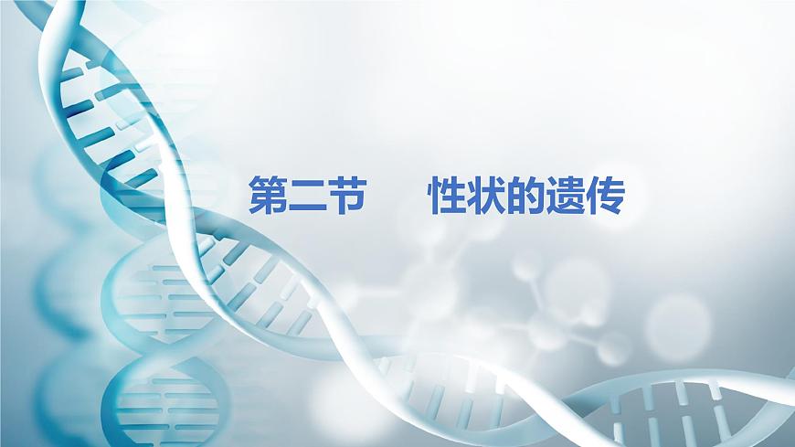 第二節(jié) 性狀的遺傳 課件第1頁