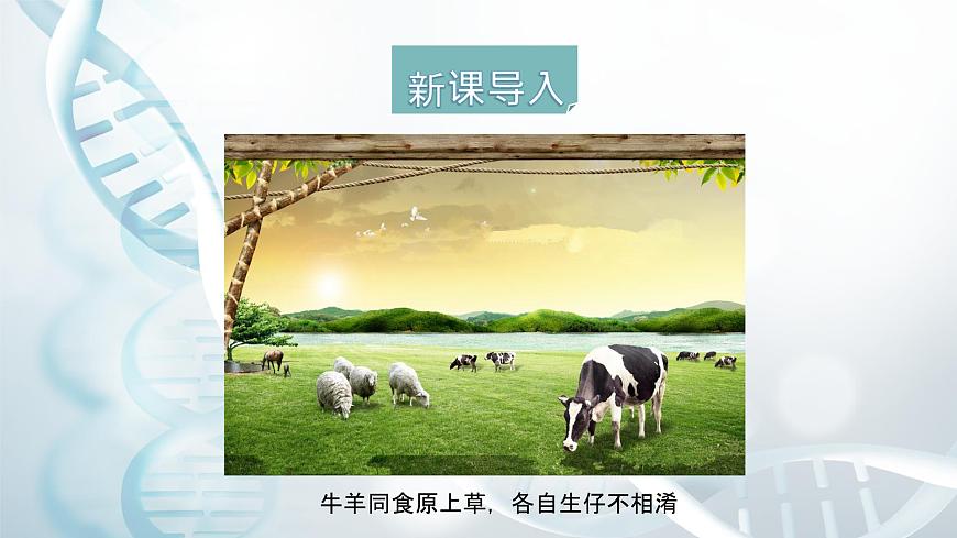 第二節(jié) 性狀的遺傳 課件第4頁