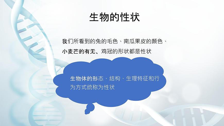 第二節(jié) 性狀的遺傳 課件第8頁