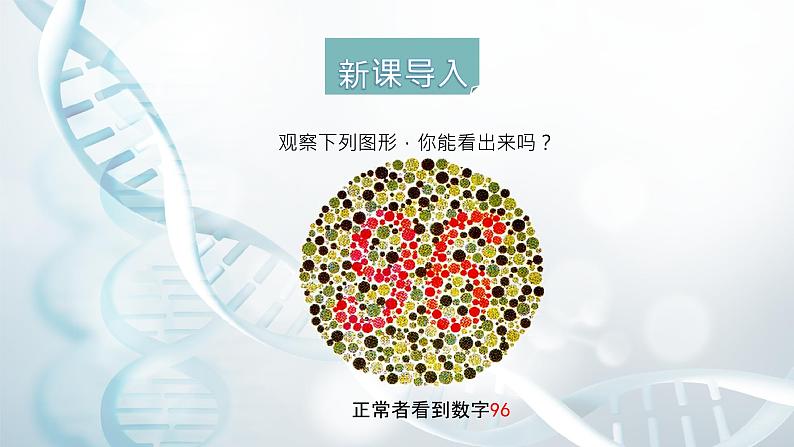 第五节 人类优生与基因组计划 课件教案04