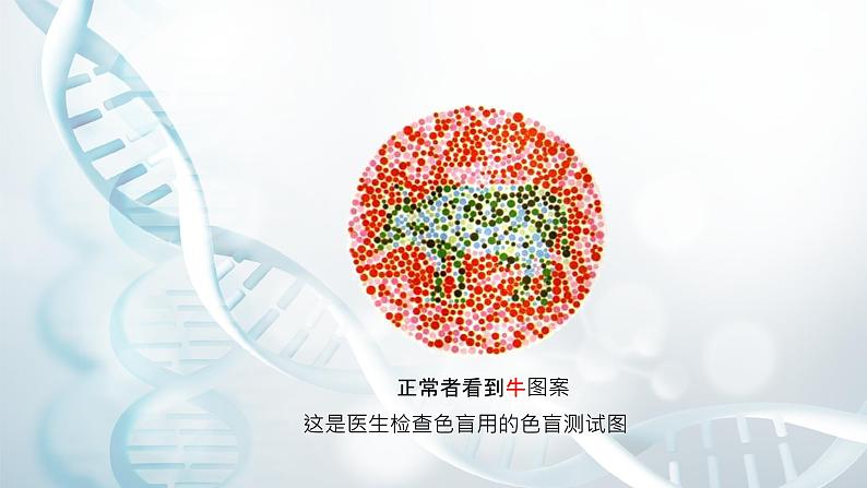 第五节 人类优生与基因组计划 课件教案05