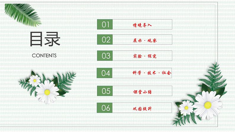 1.2.1 学习使用显微镜(跟踪训练)(含答案) 2024-2025学年七年级生物上学期同步课件+分层练(2024人教版)02