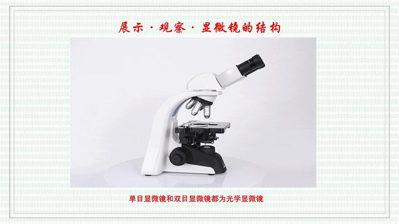 1.2.1 学习使用显微镜(跟踪训练)(含答案) 2024-2025学年七年级生物上学期同步课件+分层练(2024人教版)04