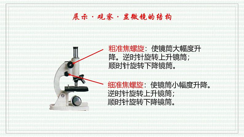1.2.1 学习使用显微镜(跟踪训练)(含答案) 2024-2025学年七年级生物上学期同步课件+分层练(2024人教版)08