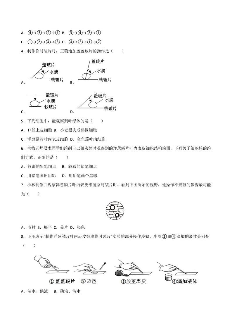 1.2.2 植物细胞(跟踪训练)(含答案) 2024-2025学年七年级生物上学期同步课件+分层练(2024人教版)02