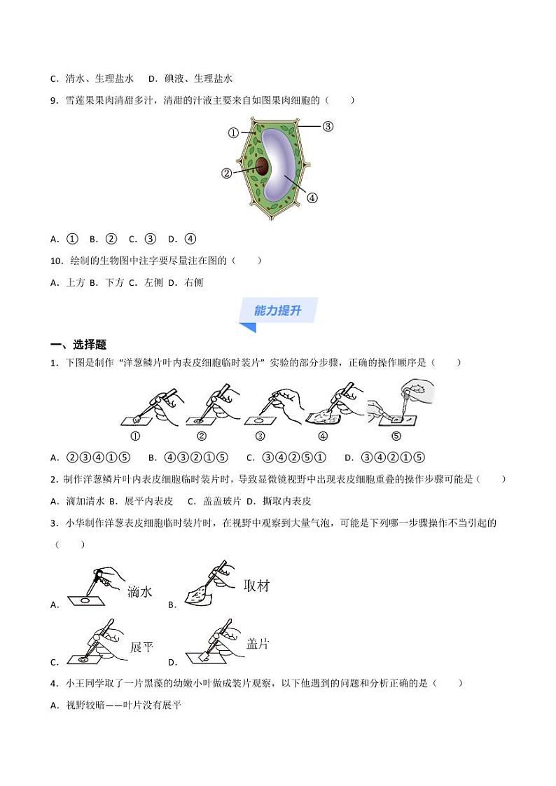 1.2.2 植物细胞(跟踪训练)(含答案) 2024-2025学年七年级生物上学期同步课件+分层练(2024人教版)03
