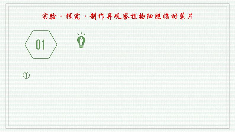 1.2.2 植物细胞(跟踪训练)(含答案) 2024-2025学年七年级生物上学期同步课件+分层练(2024人教版)07