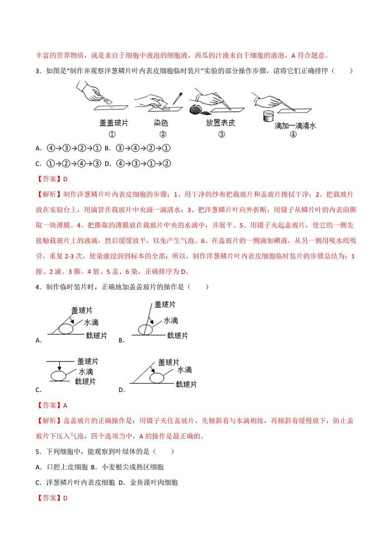 1.2.2 植物细胞(跟踪训练)(含答案) 2024-2025学年七年级生物上学期同步课件+分层练(2024人教版)02