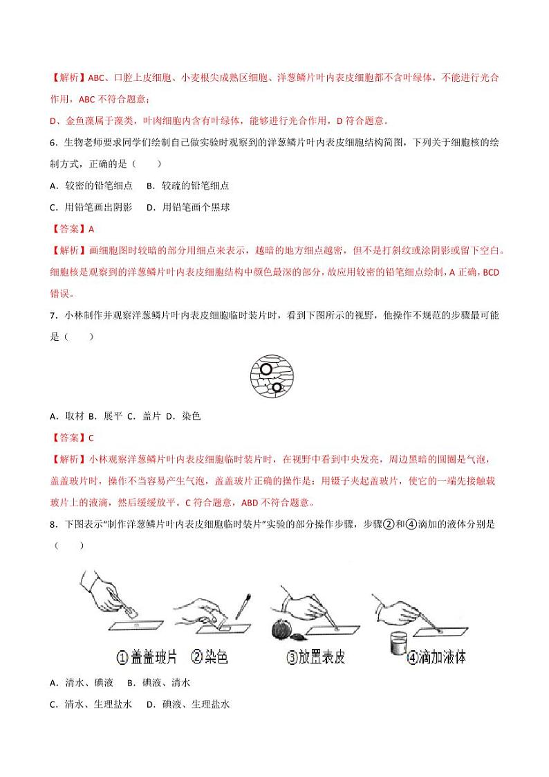 1.2.2 植物细胞(跟踪训练)(含答案) 2024-2025学年七年级生物上学期同步课件+分层练(2024人教版)03