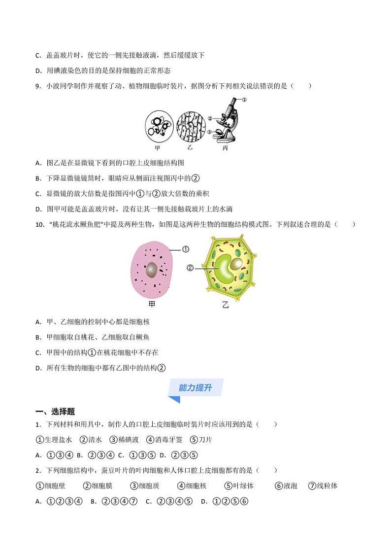 1.2.3 动物细胞(跟踪训练)(含答案) 2024-2025学年七年级生物上学期同步课件+分层练(2024人教版)03