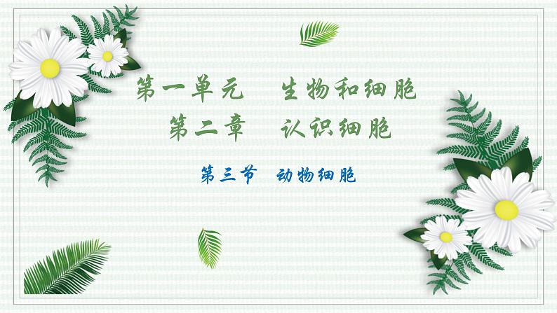 1.2.3 动物细胞(跟踪训练)(含答案) 2024-2025学年七年级生物上学期同步课件+分层练(2024人教版)01
