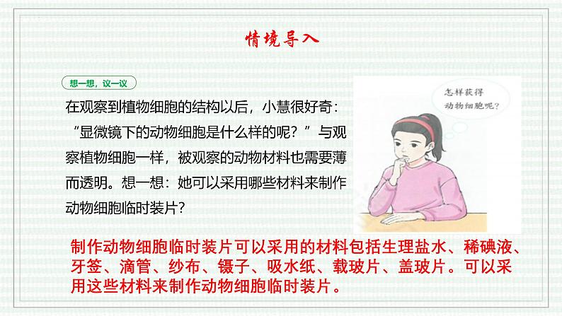 1.2.3 动物细胞(跟踪训练)(含答案) 2024-2025学年七年级生物上学期同步课件+分层练(2024人教版)03